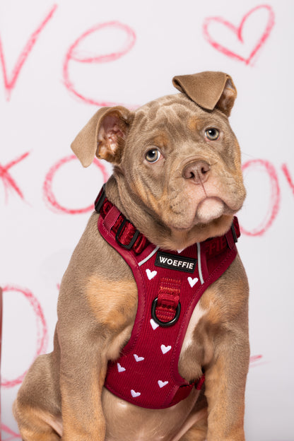 Adventure Tuig - Forever In Red Rib