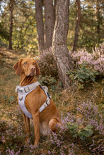 Afbeelding in Gallery-weergave laden, Adventure Tuig - Beige Teddy