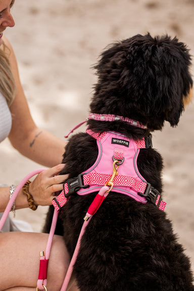 Adventure Harness - Ibiza Rose