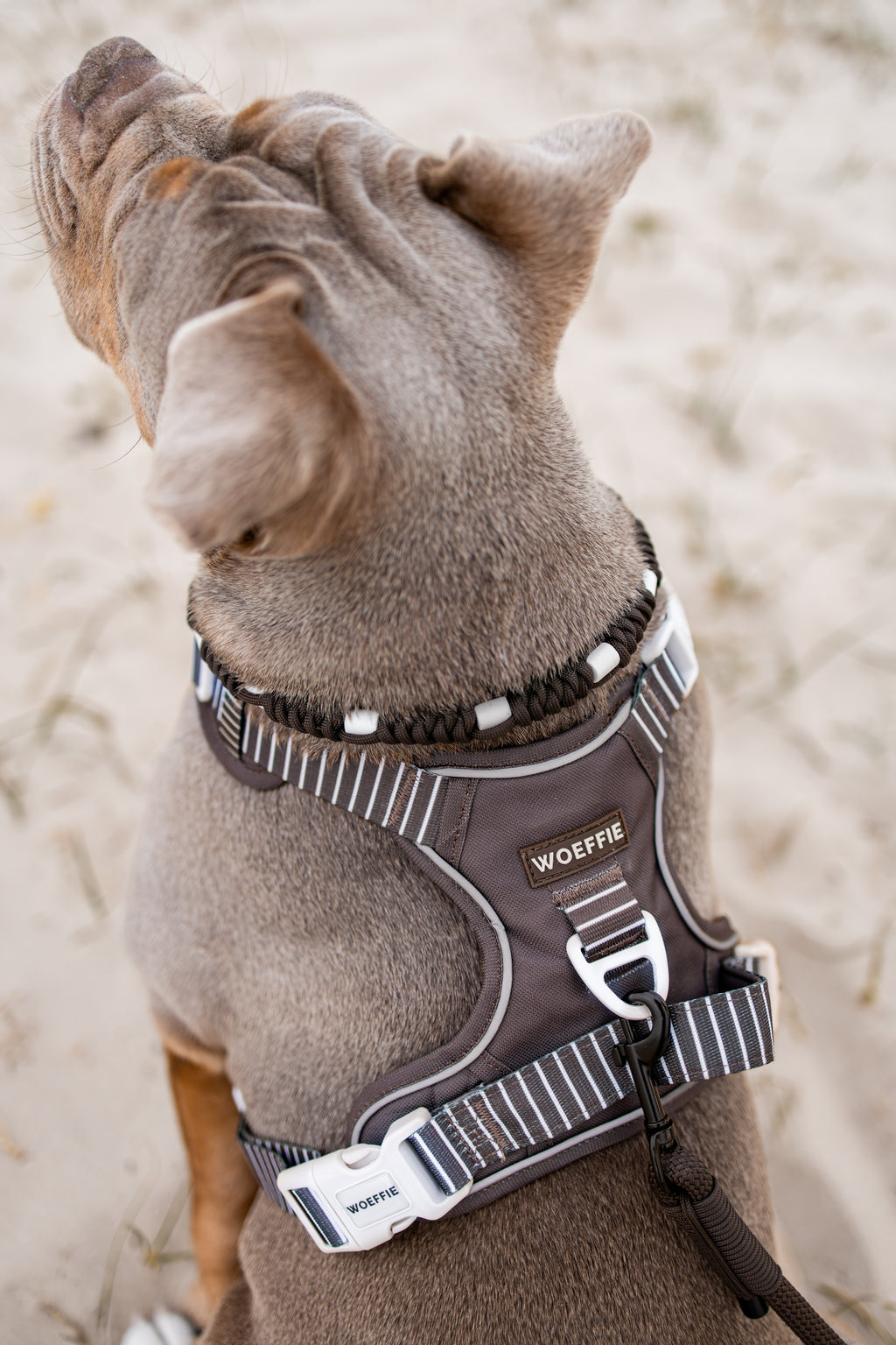 Adventure Tuig -  Cocoa Bean