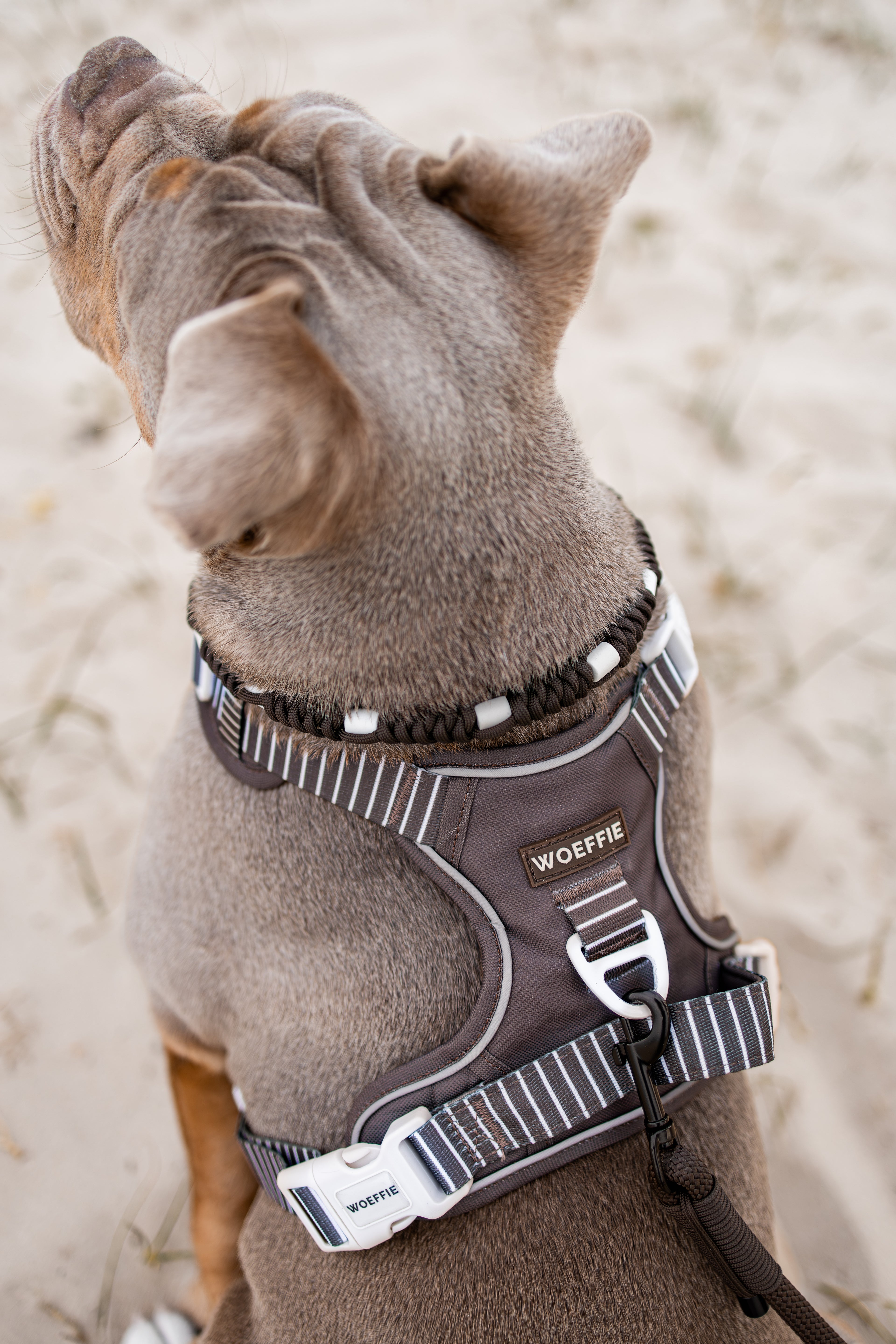 Adventure Tuig -  Cocoa Bean