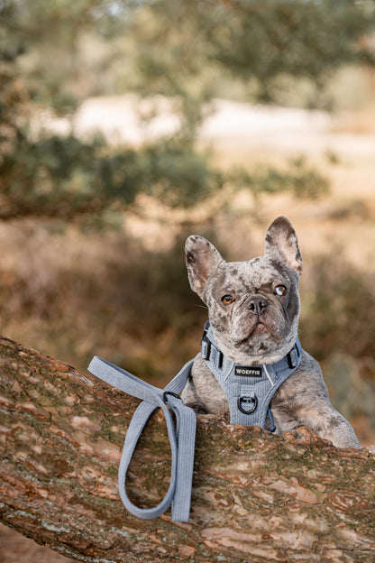 Adventure Tuig -   Arctic