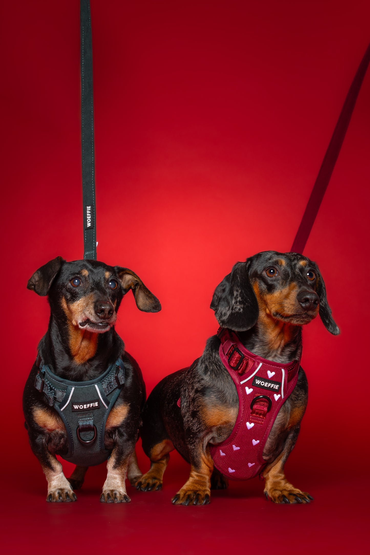 Adventure Tuig -  Emerald Green Rib