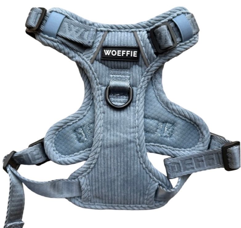 Adventure Tuig -   Arctic