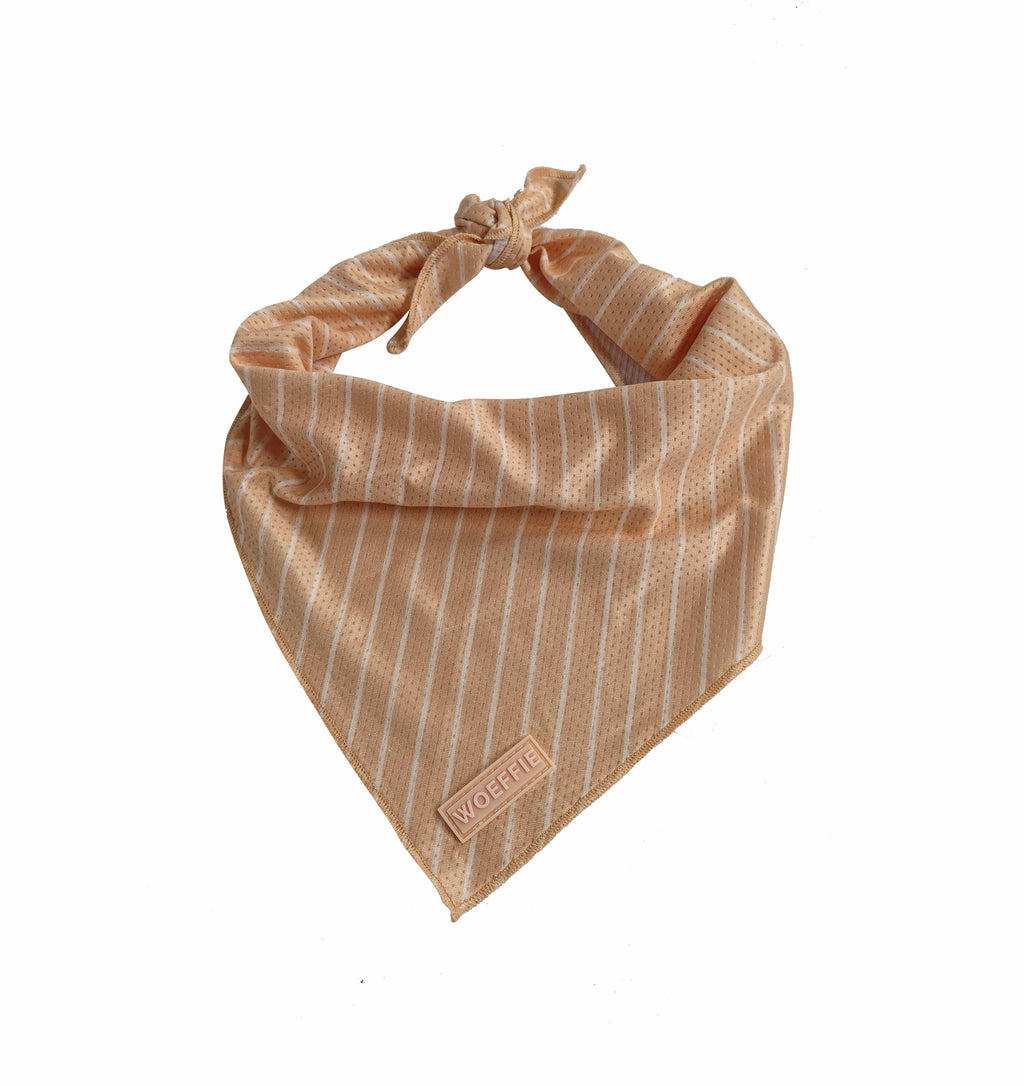 Cooling Bandana - Pretty Peach