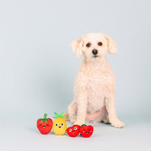 Load image into Gallery viewer, Toys - Trio Don’t Panic We’re Organic