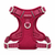 Adventure Tuig -   Hibiscus Blaze