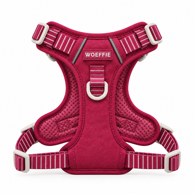 Adventure Tuig -   Hibiscus Blaze
