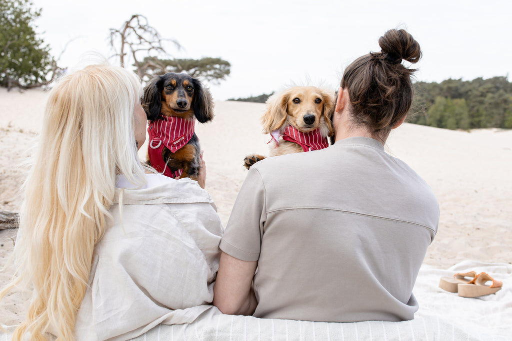 Cooling Bandana - Hibiscus Blaze
