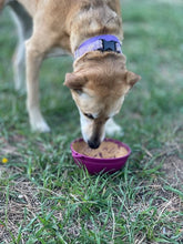 Afbeelding in Gallery-weergave laden, Sodapup - Lickmat Garden of Eatin&#39; Tipsy Bowl - Mauve