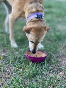 Sodapup - Lickmat Garden of Eatin' Tipsy Bowl - Mauve