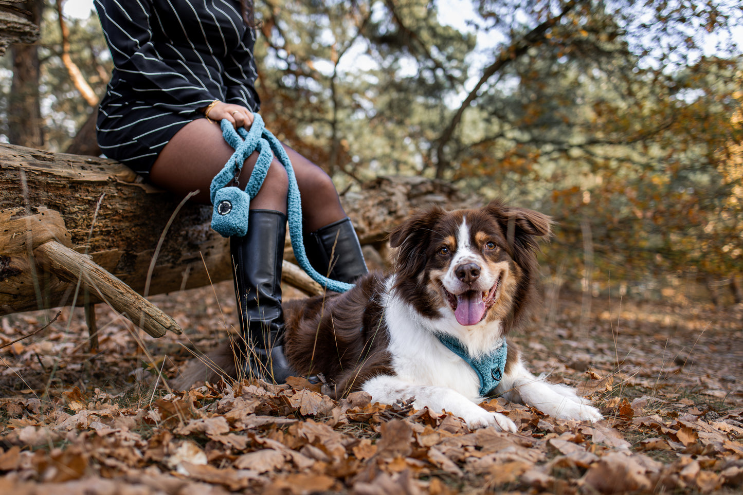 Zakjeshouder - Teddy Teal