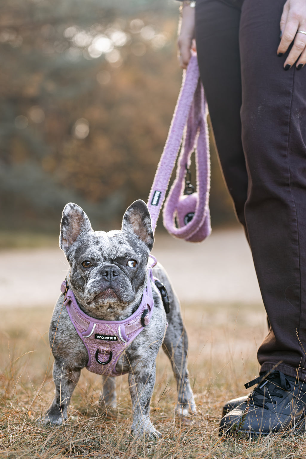 Adventure Tuig - Teddy Mauve