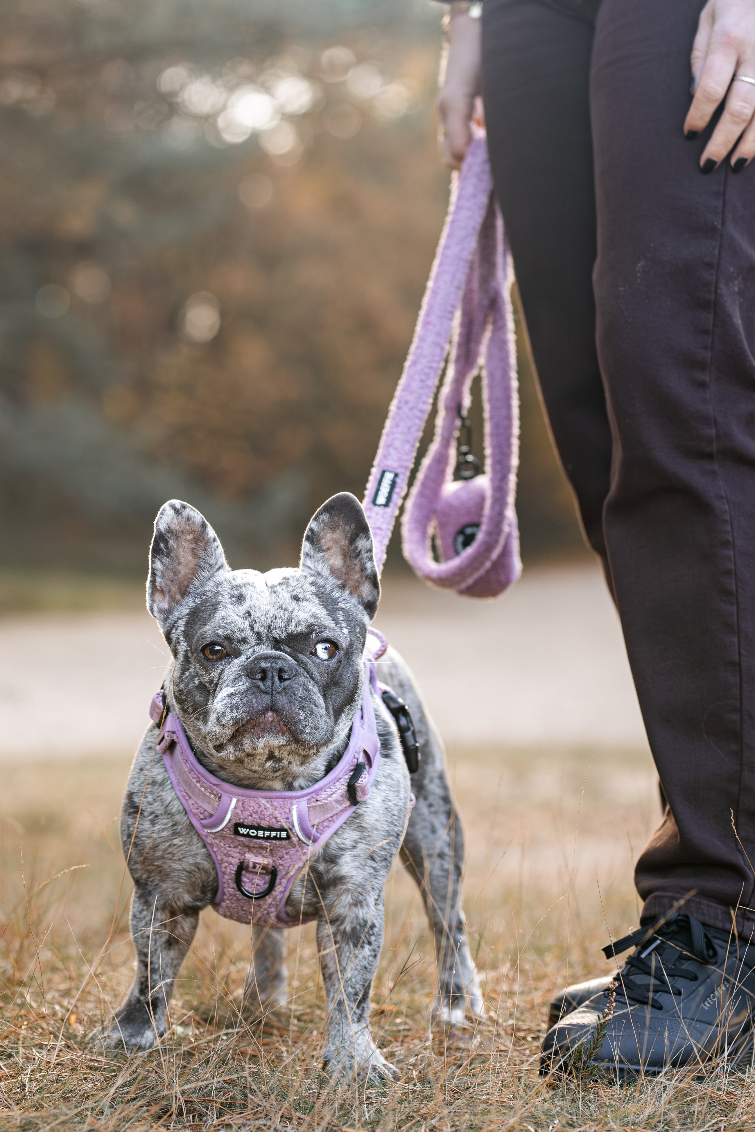 Adventure Tuig - Teddy Mauve