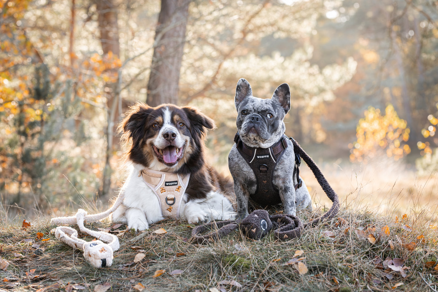 Adventure Tuig - I Love Chocolate