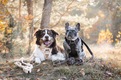 Adventure Tuig - I Love Chocolate