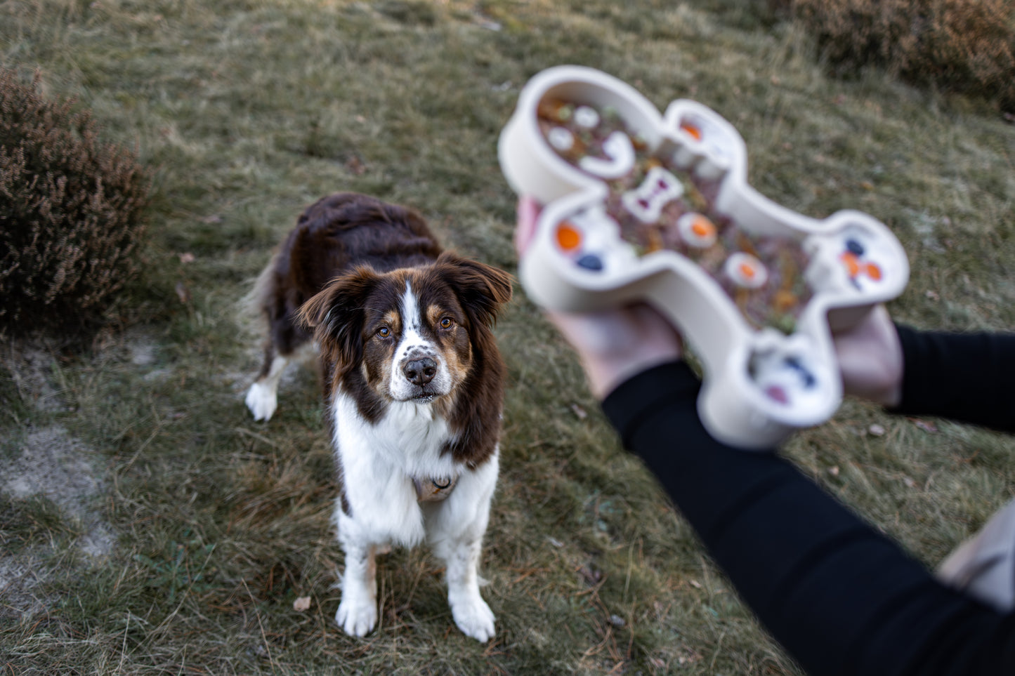 Slowfeeder - Gingerbread