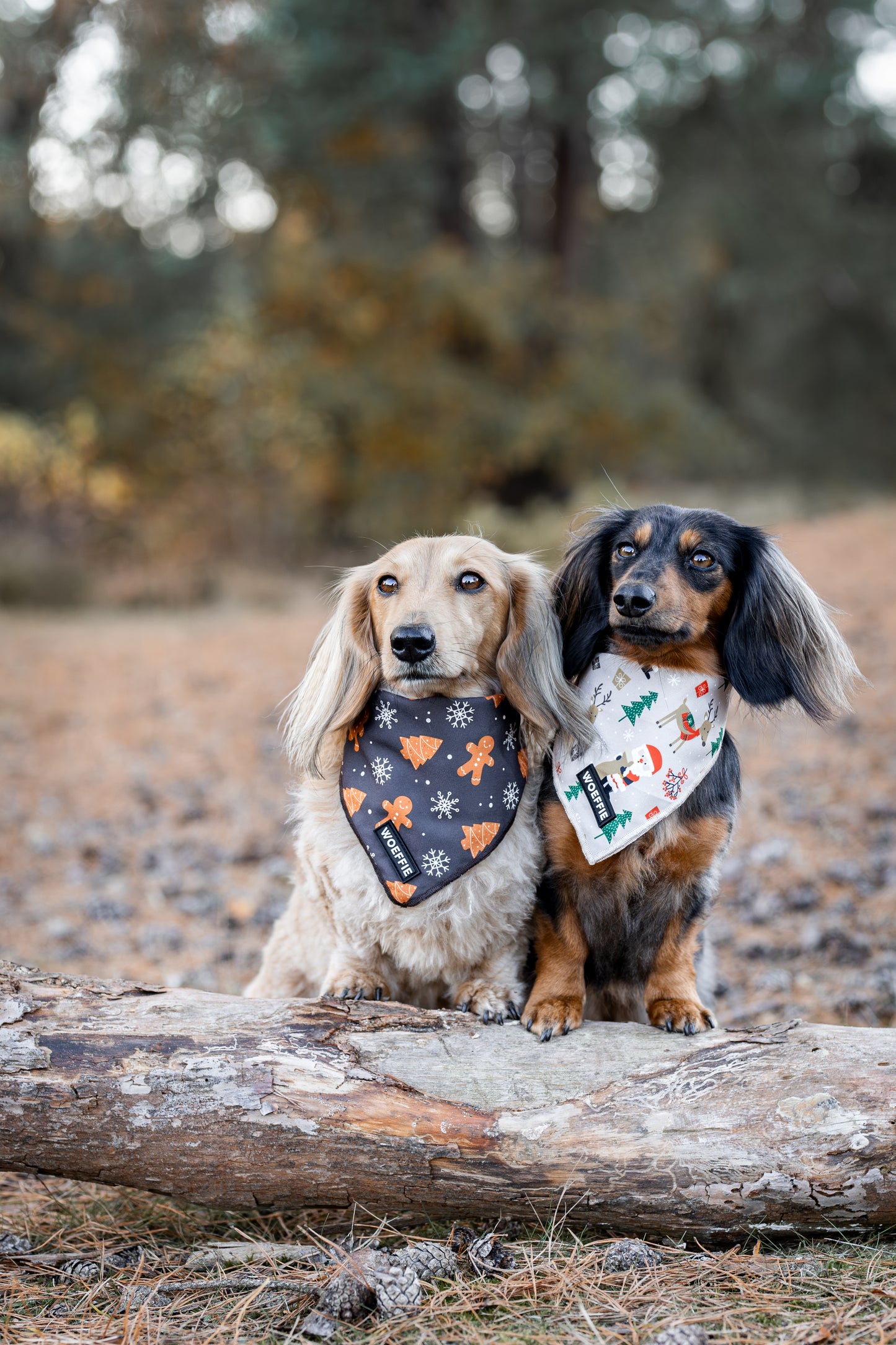 Bandana - Gingerbread Cuddle Crew