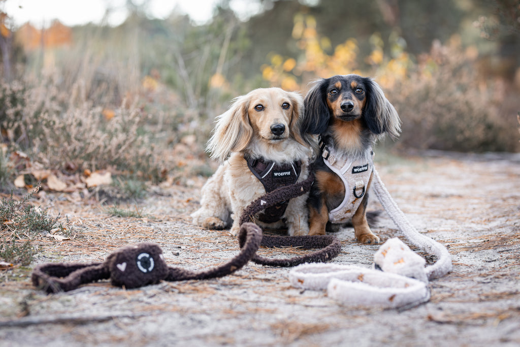 Adventure Tuig - Teddybear