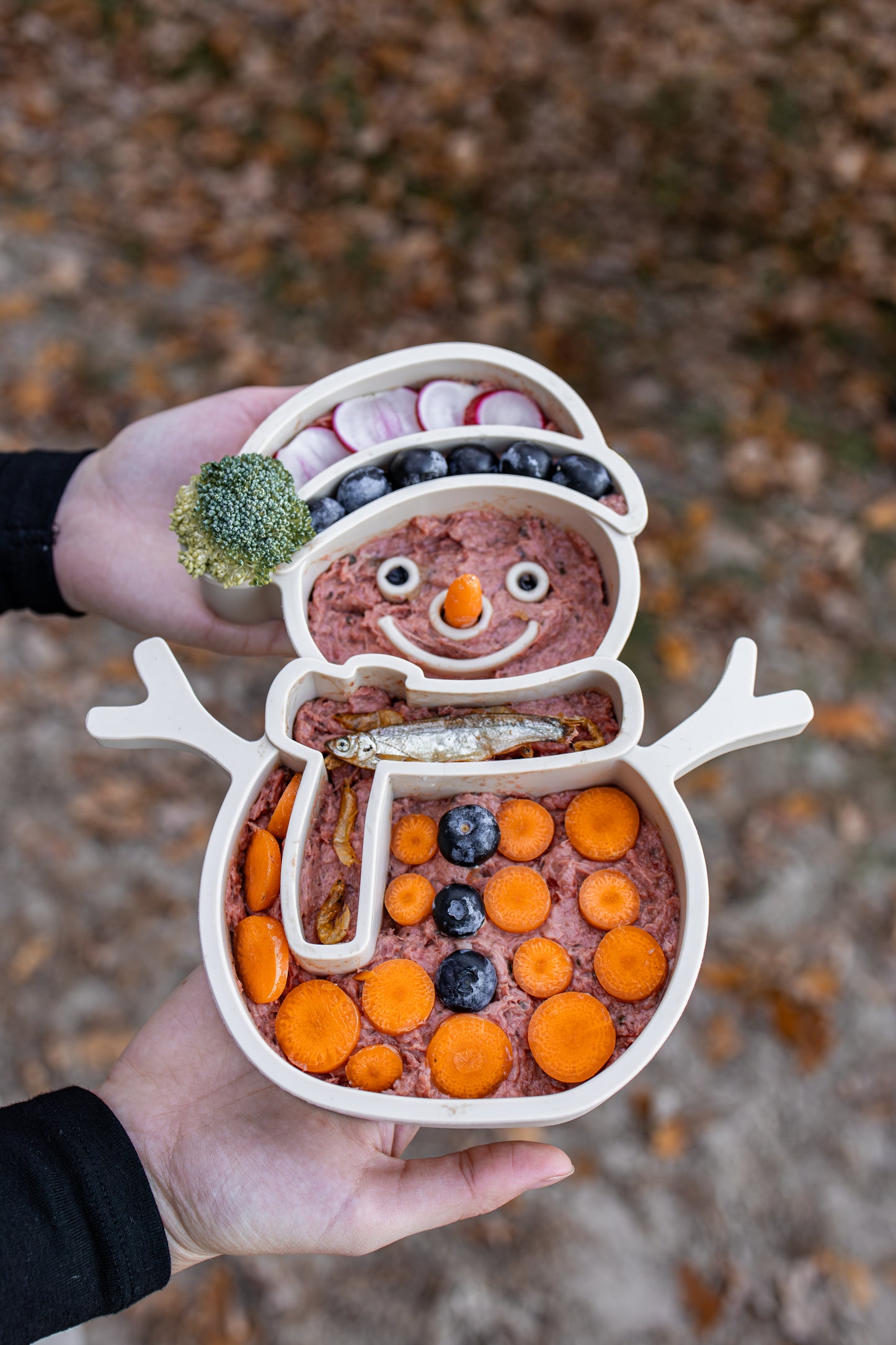 Slowfeeder - Sneeuwpop