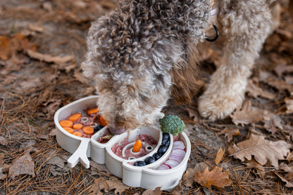 Slowfeeder - Sneeuwpop