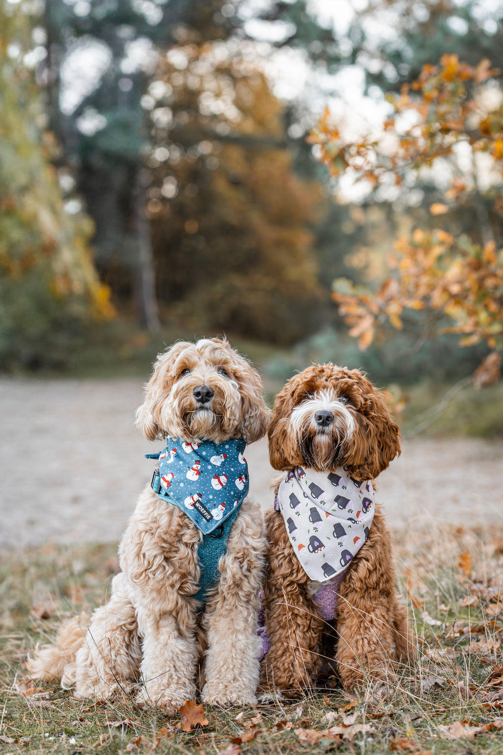 Bandana - Snowy Choco Moments