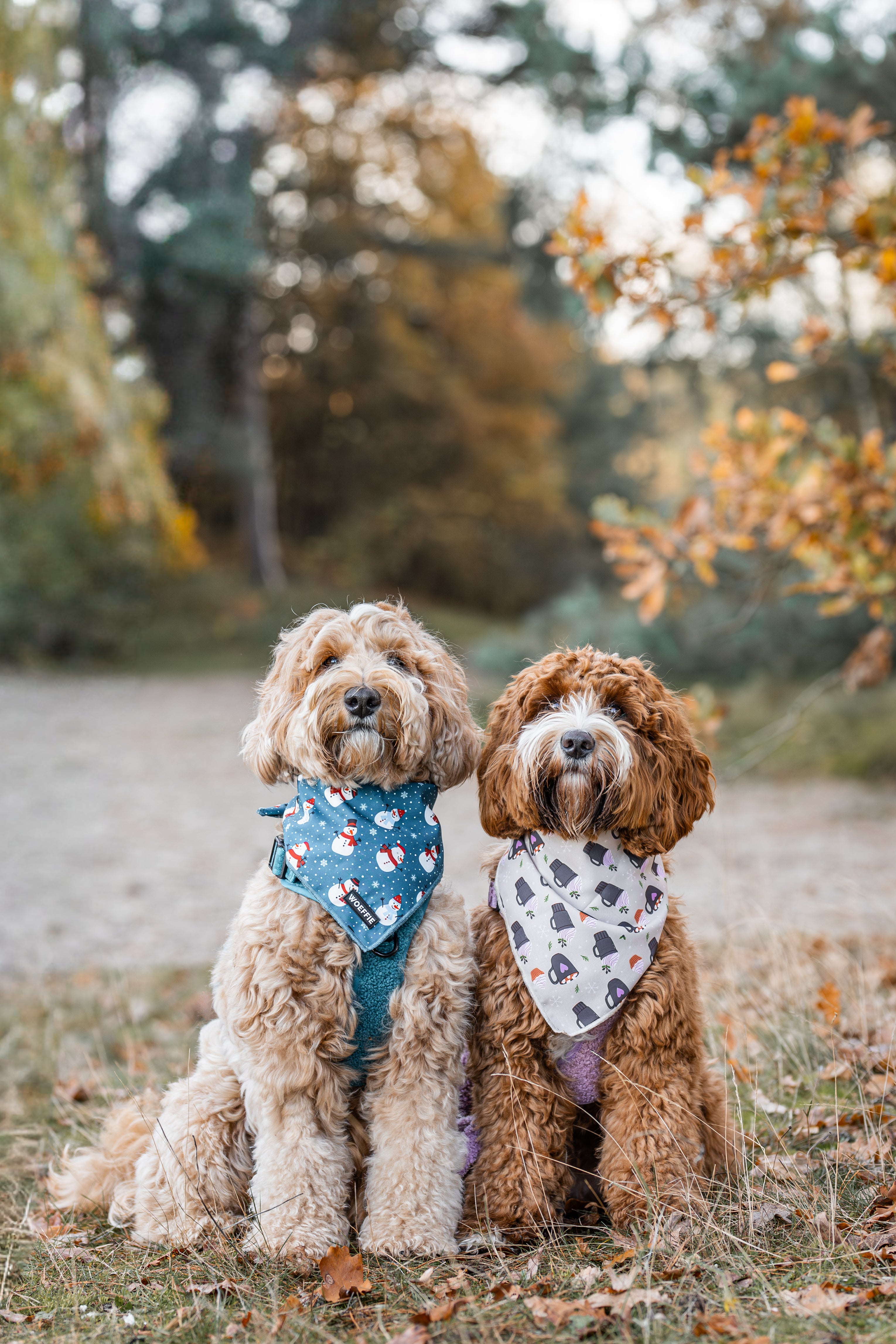 Bandana - Snowy Choco Moments