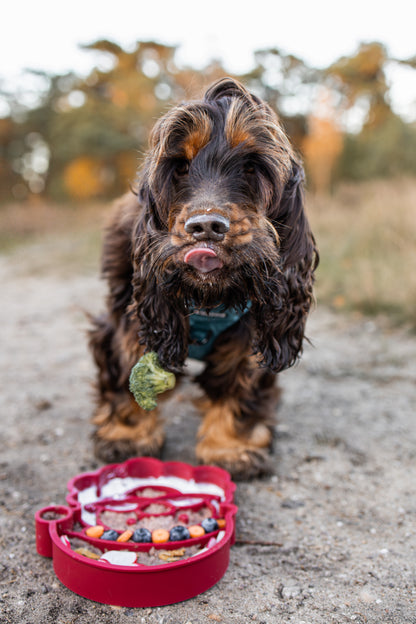 Slowfeeder - Santa Claus
