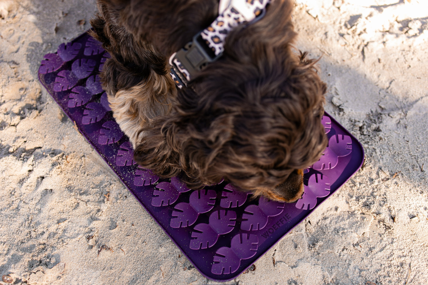 Slowfeeder - Pearl Bloom