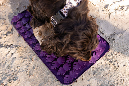 Slowfeeder - Pearl Bloom