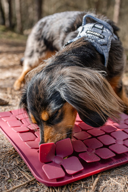 Slowfeeder - Fuchsia Flower