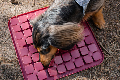 Slowfeeder - Fuchsia Flower