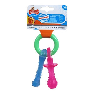 Snack - Nylabone Puppy Teething Chew Pacifier