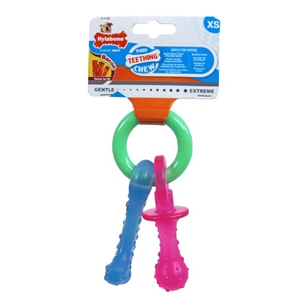 Snack - Nylabone Puppy Teething Chew Pacifier