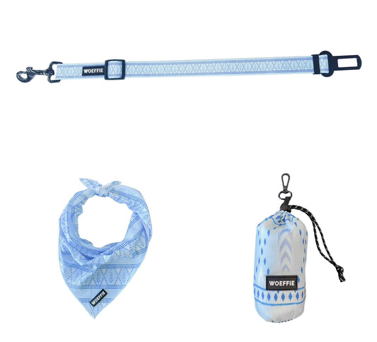 Zomerbundel Blue Bliss