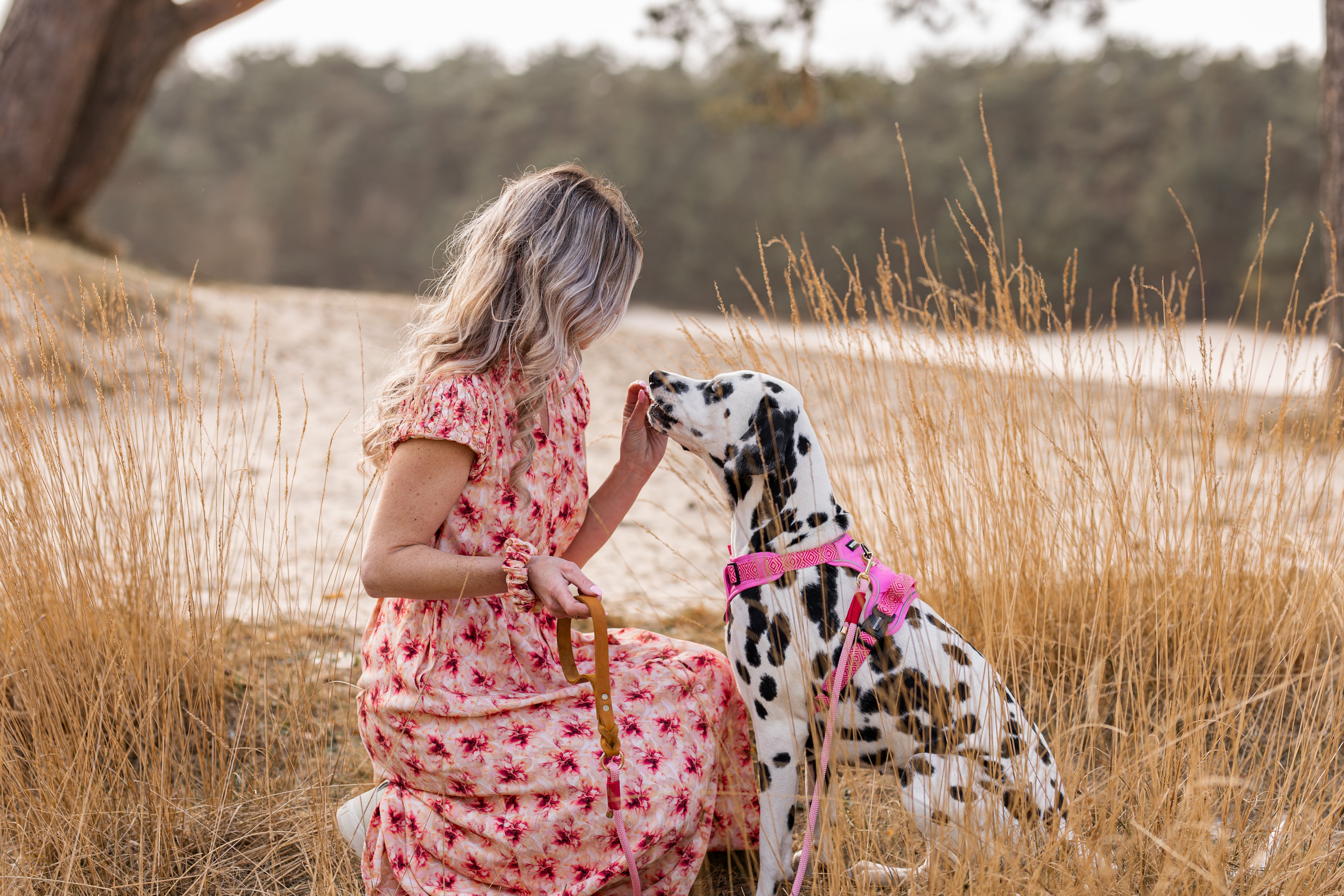 Adventure Harness - Ibiza Rose