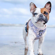 Load image into Gallery viewer, Adjustable Harness - I Speak Frenchie
