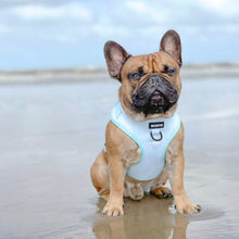 Load image into Gallery viewer, Adjustable Harness - Pretty Pastel Green