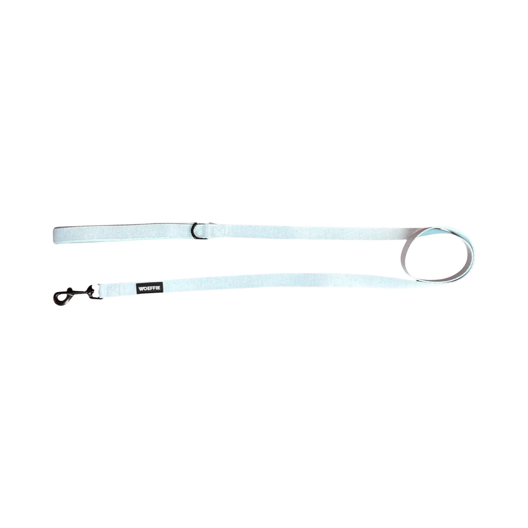 Leash - Pretty Pastel Green