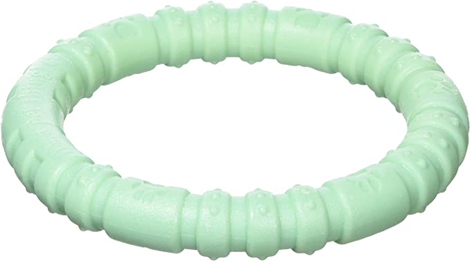 Snacks - Mint Ring Nylon Dog Chew